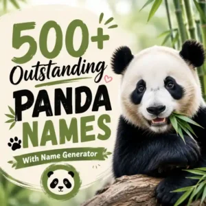 Panda Names With Name Generator