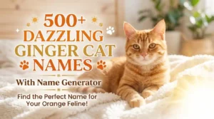 Ginger Cat Names With Name Generator