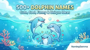 500+ Dolphin Names: Cute, Cool, Funny & Unique Ideas